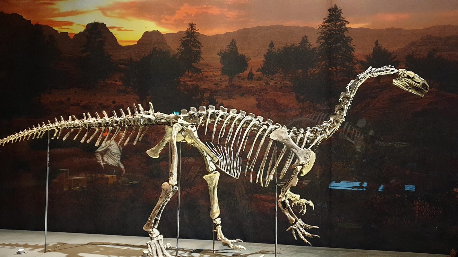 5. YACIMIENTO DE PLATEOSAURUS