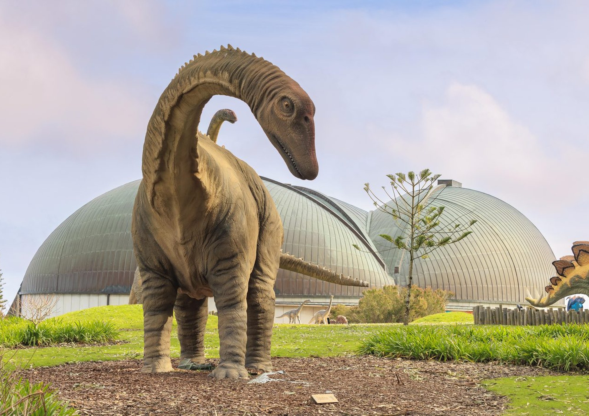 36. CURIOSIDADES SOBRE EL MUNDO DE LOS DINOSAURIOS