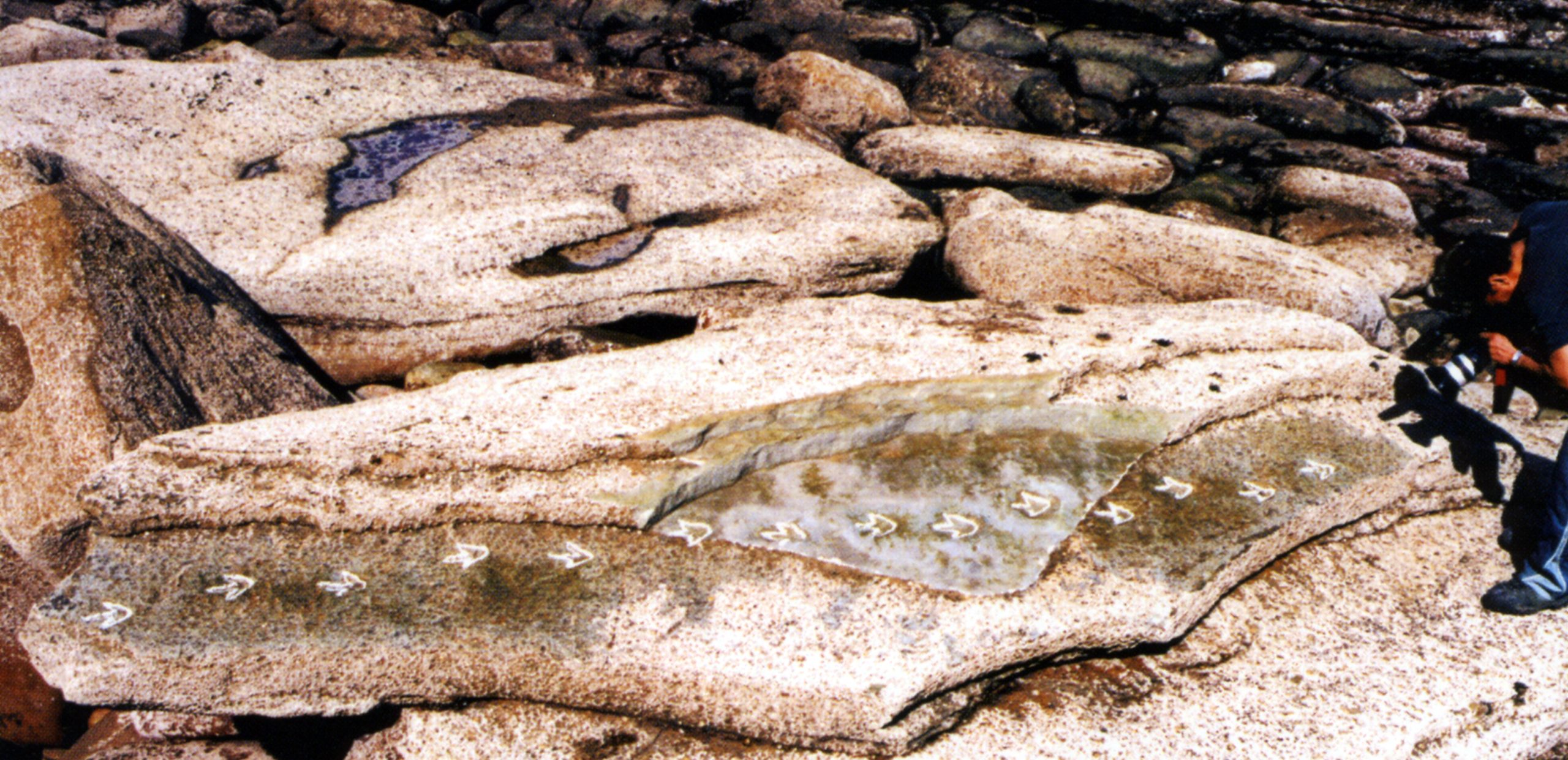 23. FORMACIÓN LASTRES